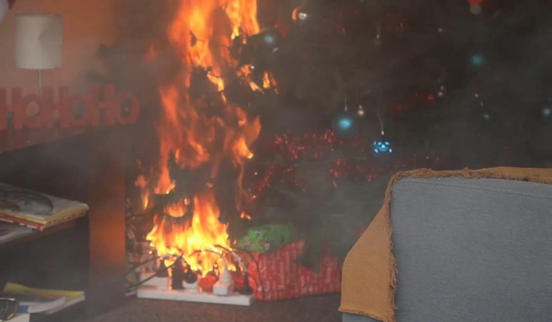 An image relating to the news item New Fire and Rescue NSW Commissioner urges the public to take safety precautions this summer