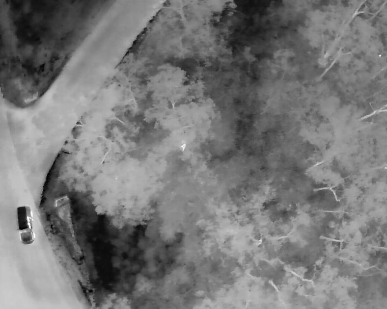 An image relating to the news item Specialist Fire and Rescue NSW drone crew locates missing man in bushland – VIDEO