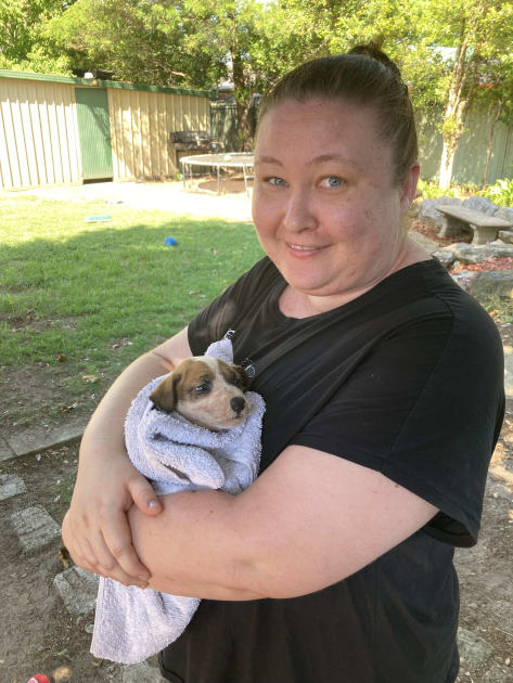 An image relating to the news item Fire and Rescue NSW ensures puppy rescue mission is a 