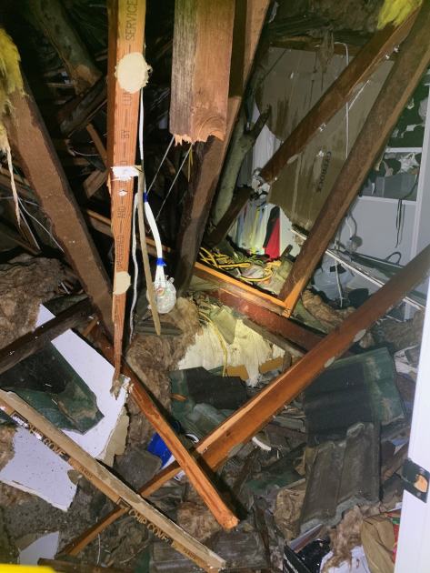 An image relating to the news item Firefighters help rescue family trapped in home smashed by falling tree - VIDEO