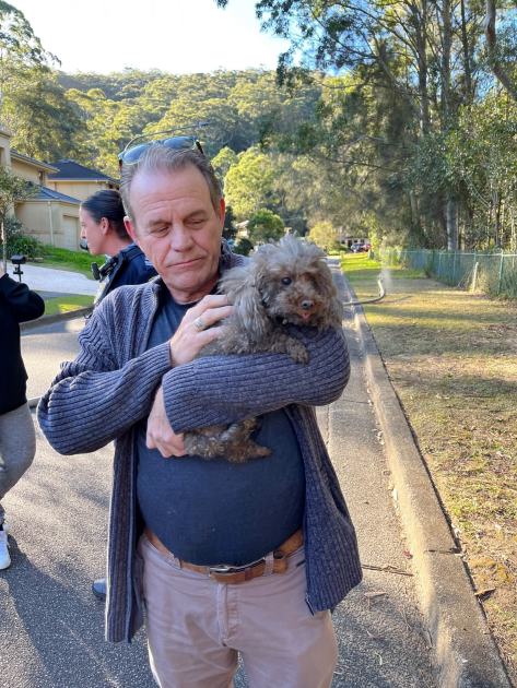 An image relating to the news item Firefighters rescue pet Poodle and Cockatiel from Central Coast house fire - (updating pet details)