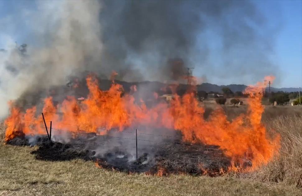 An image relating to the news item Major hazard reduction burn reduces grassfire risk for upper Hunter township - VIDEO