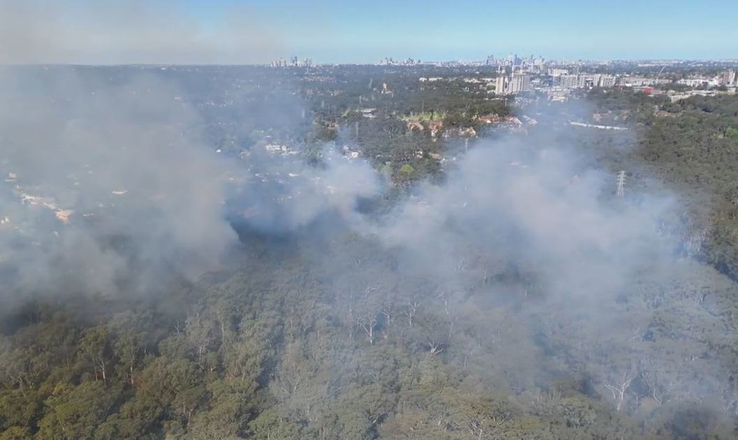An image relating to the news item Firefighters carry out hazard reduction burn at South Turramurra to protect homes