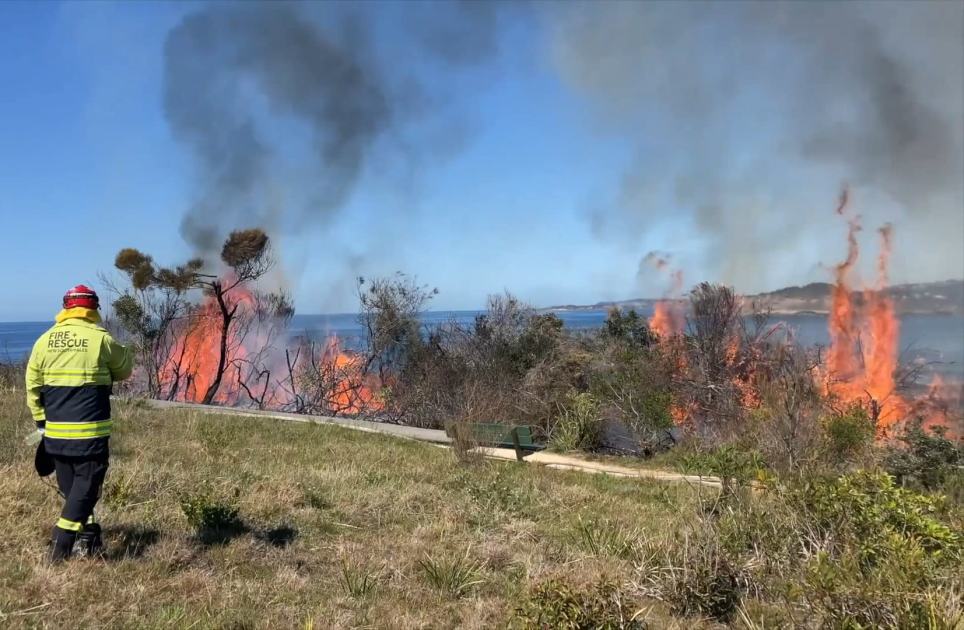 An image relating to the news item Hazard reduction operation reduces bushfire risk - VIDEO