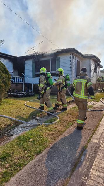 An image relating to the news item Firefighters rescue pet dogs from family