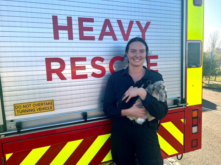 An image relating to the news item Firefighters save house and two pet bunnies in possible Lithium battery blaze - VIDEO
