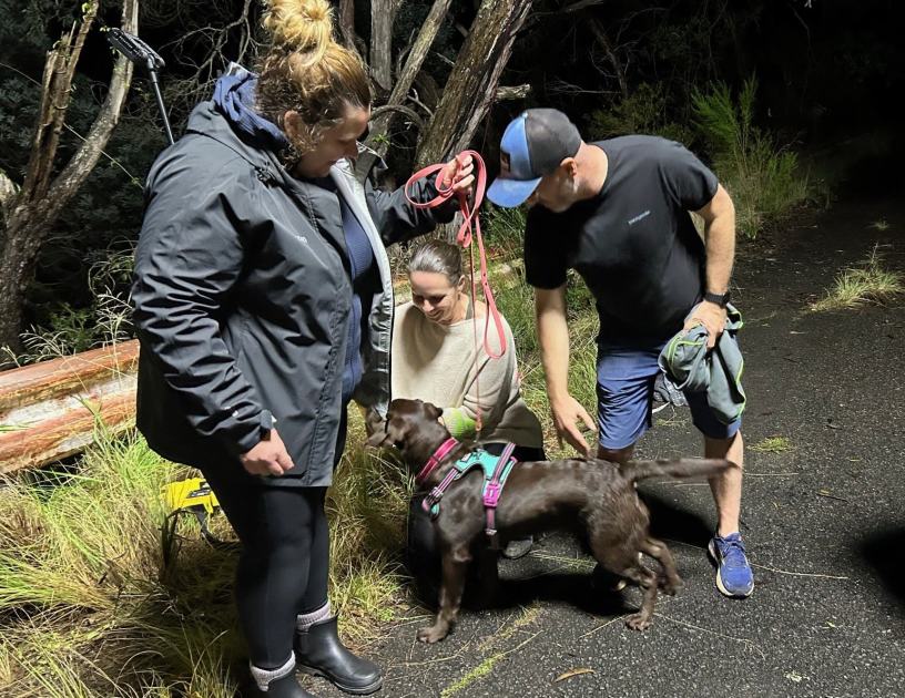 An image relating to the news item [VIDEO] Firefighters rescue dog, trapped down embankment