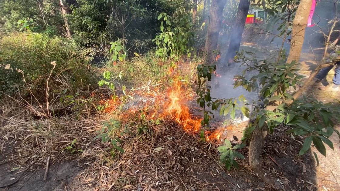 An image relating to the news item Fire and Rescue NSW conducts ‘cultural burns’ in bushfire-prone areas – VIDEO
