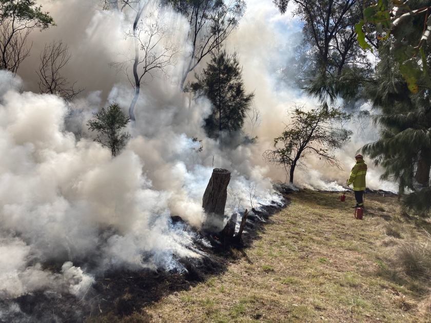 An image relating to the news item Fire and Rescue NSW ramps up hazard reduction burns amid predictions of challenging fire season - VIDEO