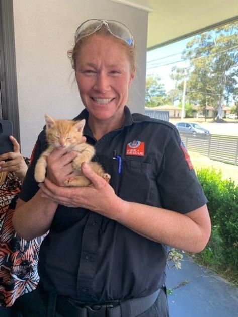 An image relating to the news item Prepared for Anything...even kittens caught in car dashboards - VIDEO