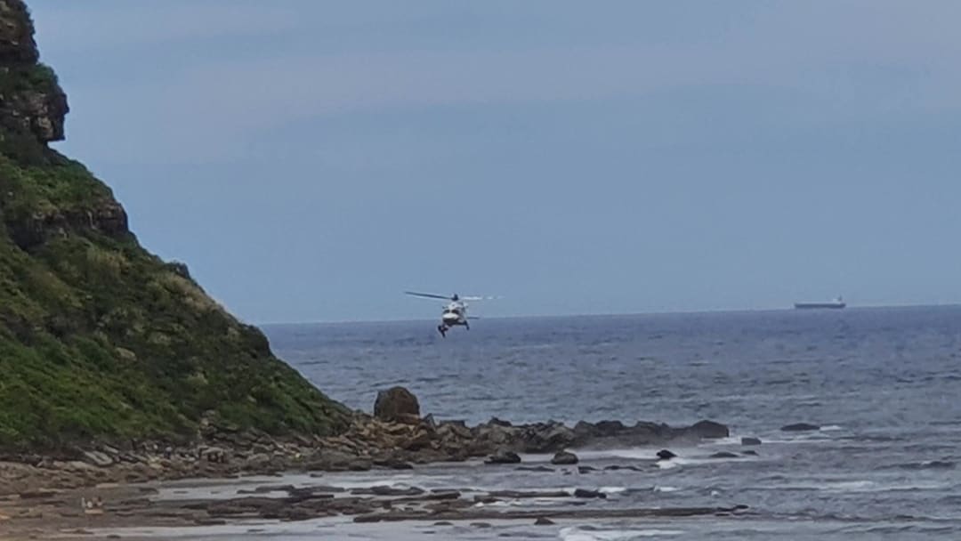 Paraglider Crash Forresters Beach Fire and Rescue NSW