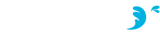 H2GO Mobile Wash