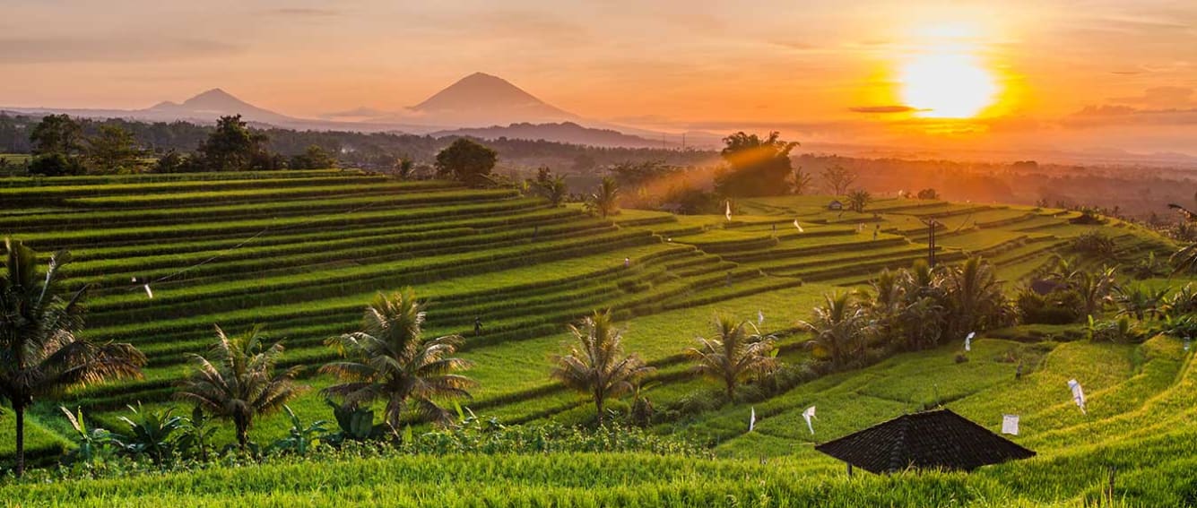 Etihad Airways