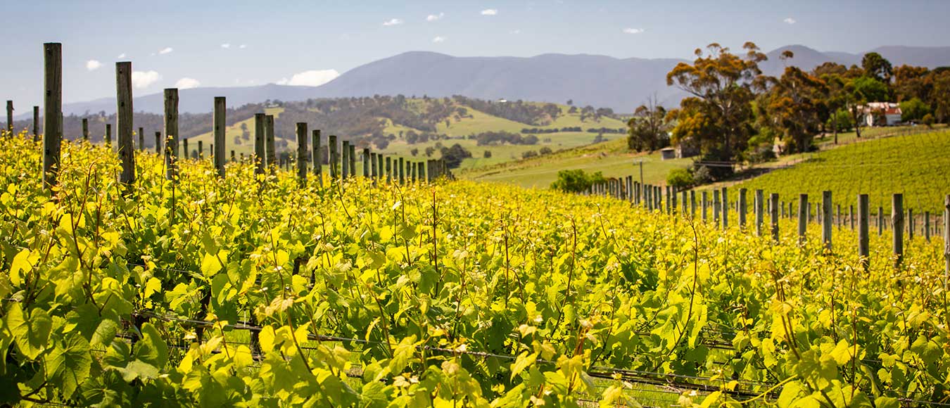 In Star Alliance Business Class nach Australien ab 2.577 Euro