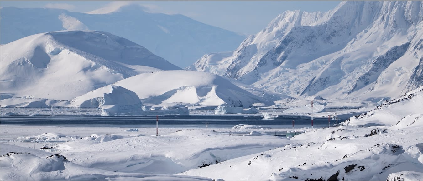 Scenic Cruises: Einzigartiges Erlebnis in der Antarktis mit exklusiven Rabatten