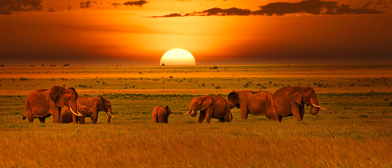 Ab 1.260 Euro in Business Class nach Nairobi