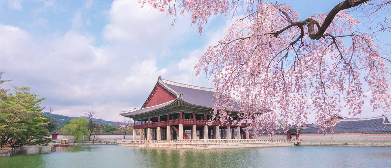 Nonstop von Deutschland nach Südkorea ab 479 Euro