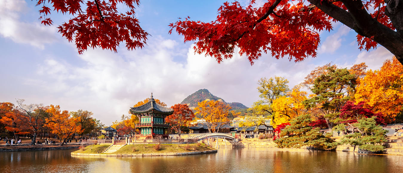 Mit Star Alliance von Deutschland nach Südkorea ab 604 Euro
