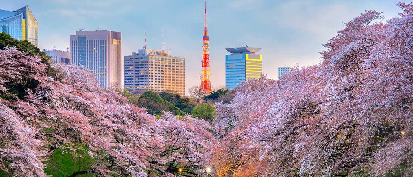 In Star Alliance Premium Economy Class nach Japan ab 1.139 Euro