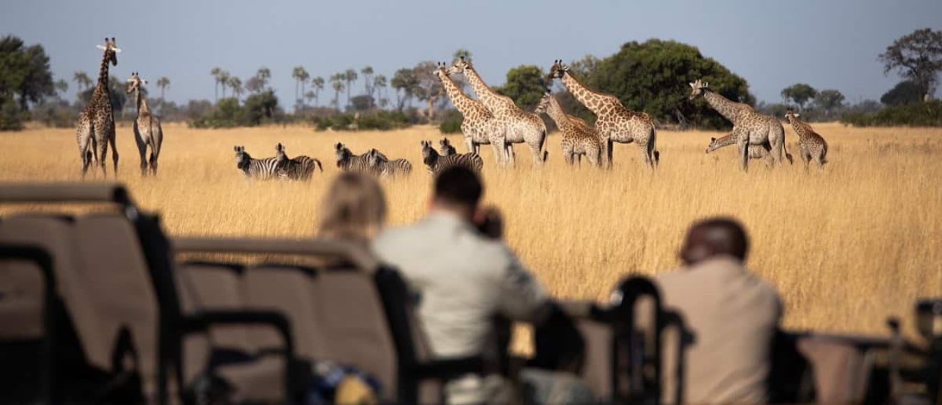 Wilderness feiert Wiedereröffnung von zwei ikonischen Camps im Okavango-Delta