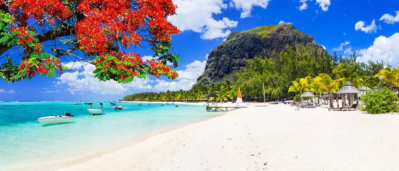 Direktflüge von Deutschland nach Mauritius ab 579 Euro