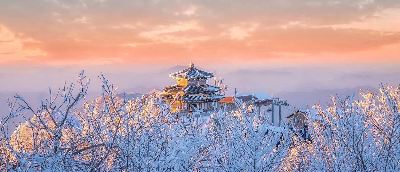 Mit Star Alliance von Österreich nach Südkorea ab 470 Euro