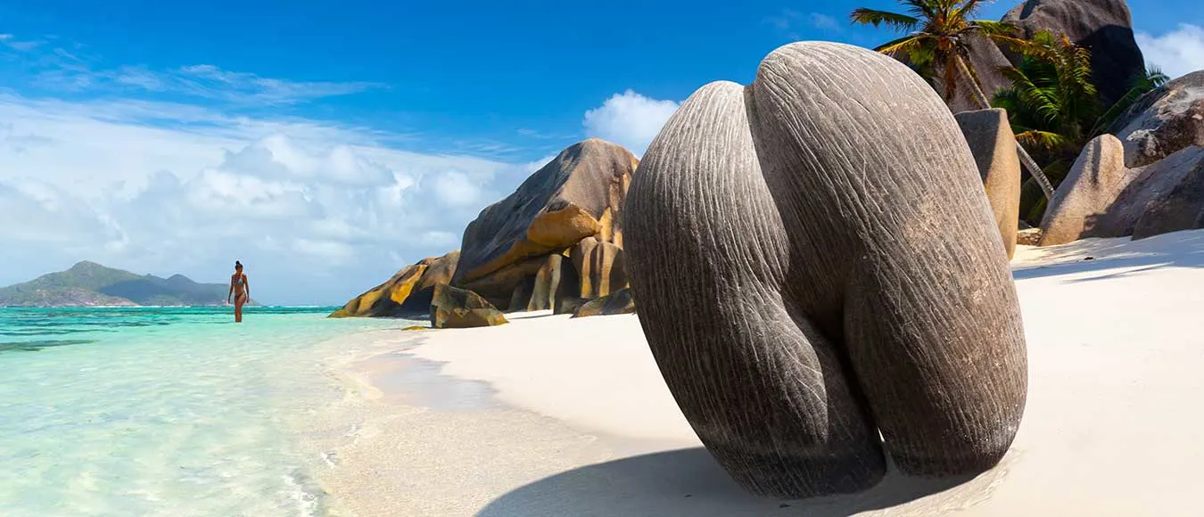 Ab 556 Euro mit Star Alliance von Wien auf die Seychellen