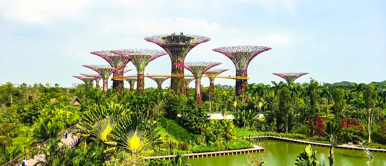 oneworld Direktflüge nach Singapur ab 598 Euro