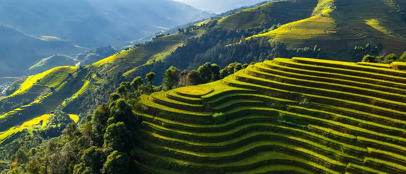 Mit Etihad Airways von Deutschland nach Vietnam ab 510 Euro