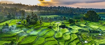 Nach Bali in Star Alliance First Class ab 4.500 Euro