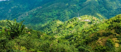 Ab 1.860 Euro in Business Class nach Jamaika