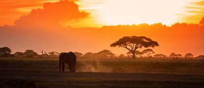 Mit SkyTeam nach Kenia fliegen ab 473 Euro
