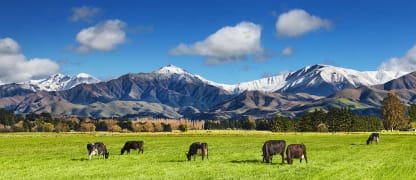 Economy Class Flüge nach Neuseeland ab 716 Euro buchen