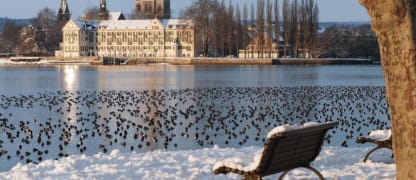 Steigenberger Inselhotel Konstanz am Bodensee inkl. Frühstück ab 199 Euro pro Nacht