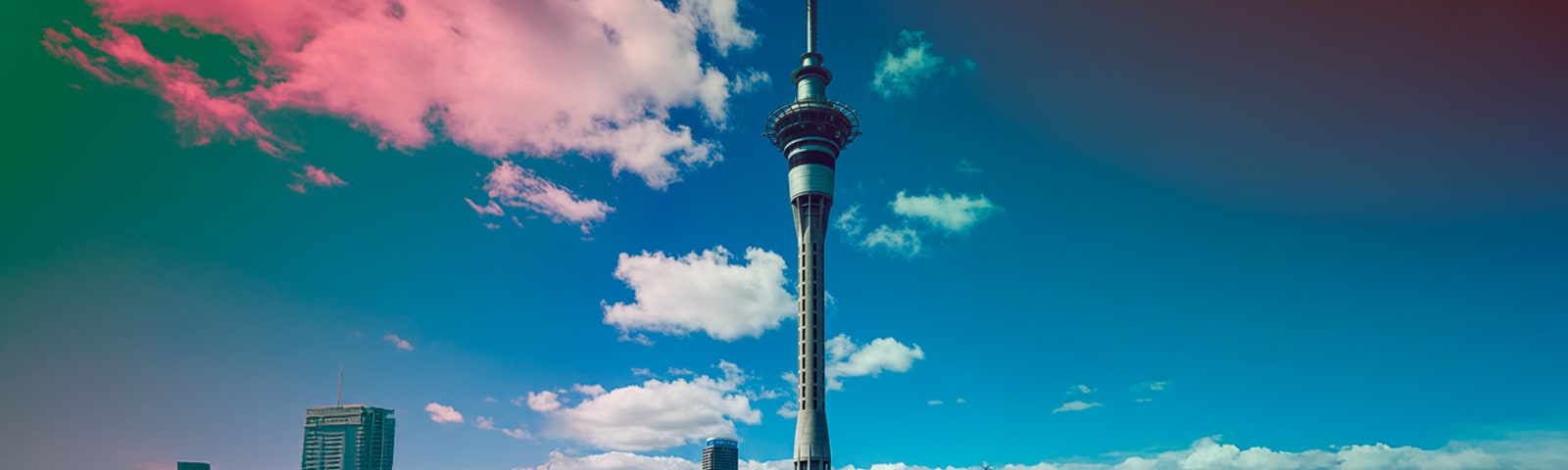 Estudar na Nova Zelândia: guia completo para o seu intercâmbio