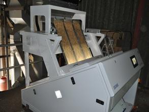 Great results for customer after Satake sorter added to process
