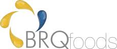 Logotipo do cliente BRQ Foods 13