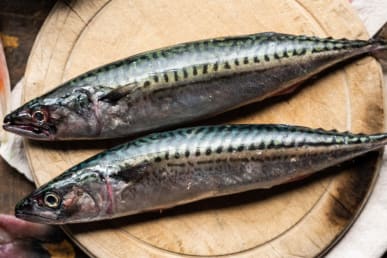 Cornish mackerel is beautiful, delicious oily fish