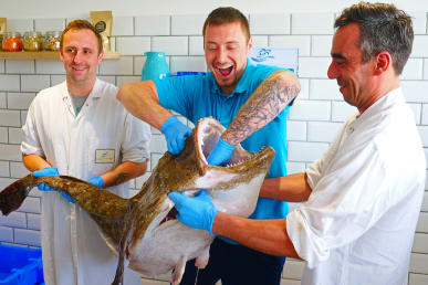 Monster Monkfish at Fish for Thought Cornwall