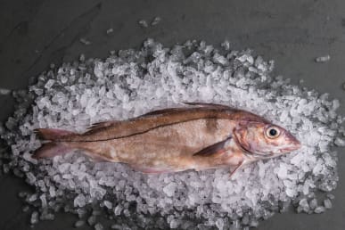 Haddock Sustainable Guide: Is Haddock Sustainable in the UK?