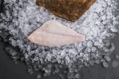 plaice-fillet