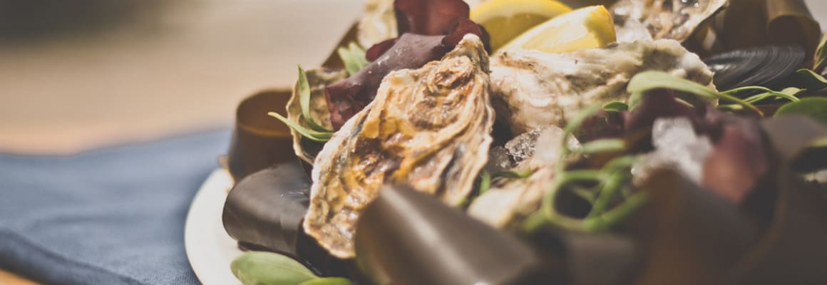 How to store and prepare live Oysters