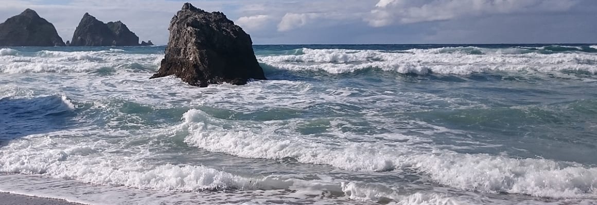 Seafishing in Newquay