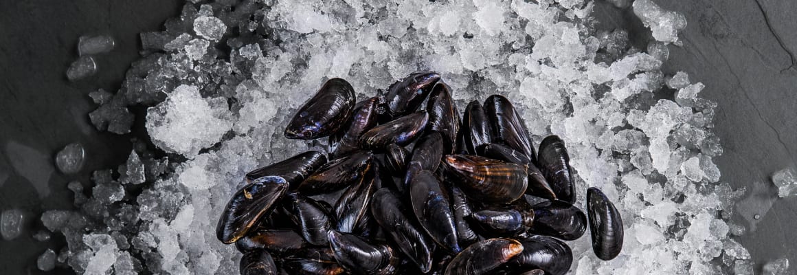 mussels