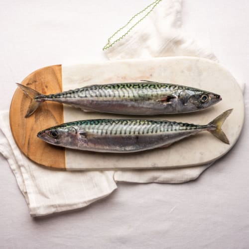 mackerel whole fish