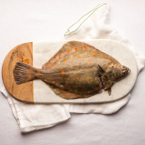 Plaice whole fish