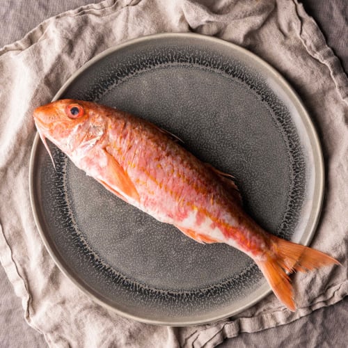 red mullet whole fish