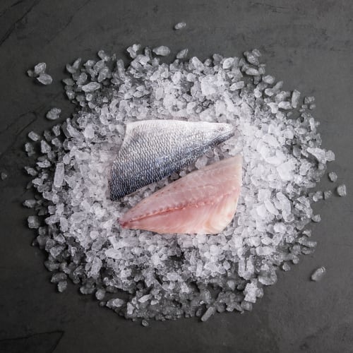 Seabream Fillet