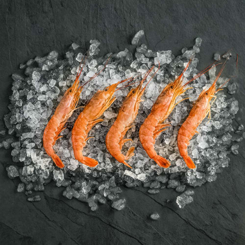 Wild Caught Red Tiger Prawns Raw Shell on