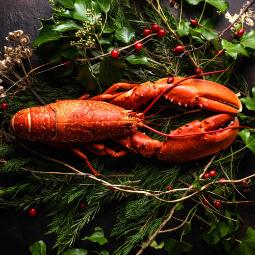 Christmas cooked Lobster